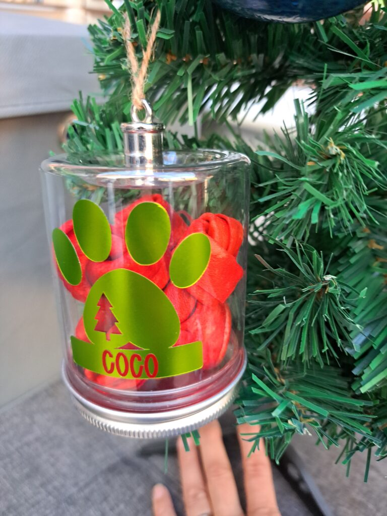 20231030 150025 20231030 150025